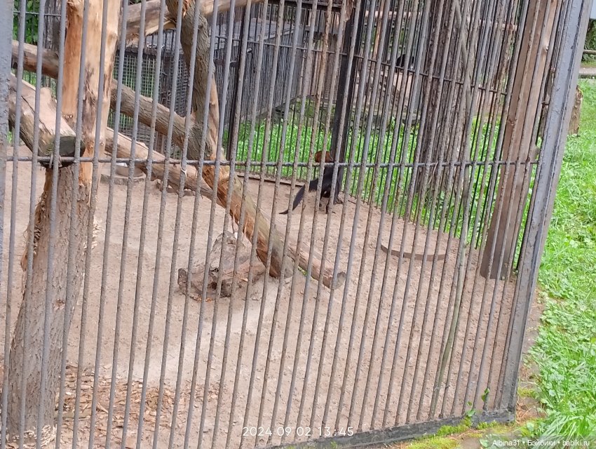 Новосибирский зоопарк — Игровые куклы разных производителей (Разное): редкие бренды