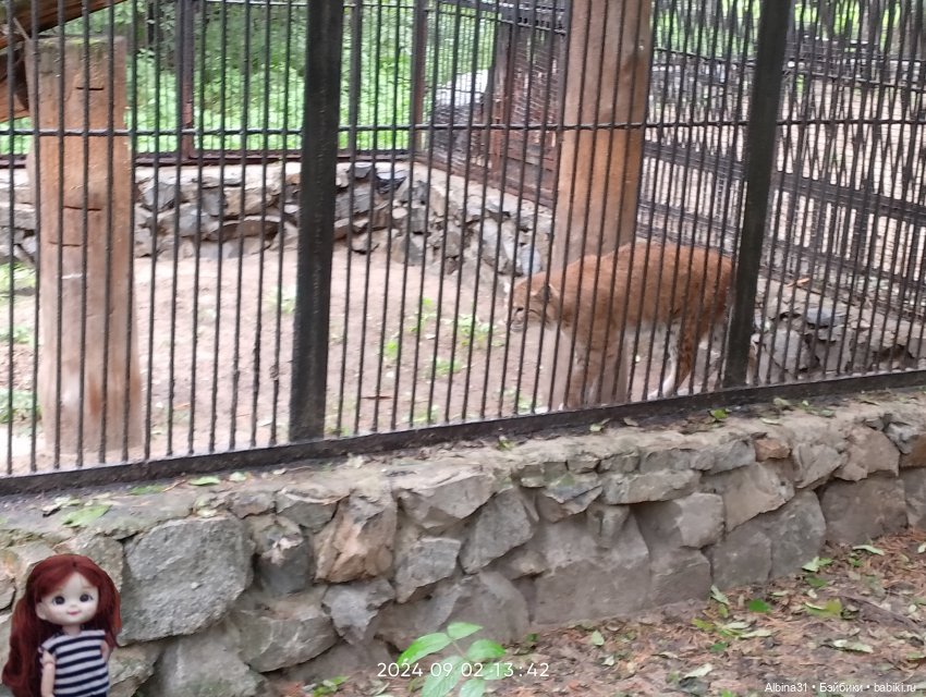 Новосибирский зоопарк — Игровые куклы разных производителей (Разное): редкие бренды