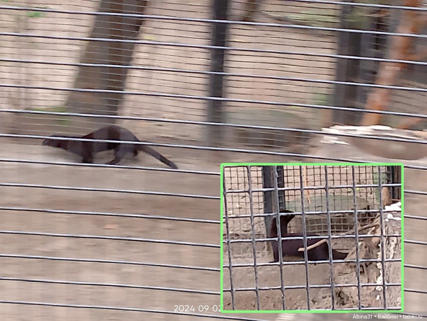 Новосибирский зоопарк — Игровые куклы разных производителей (Разное): редкие бренды