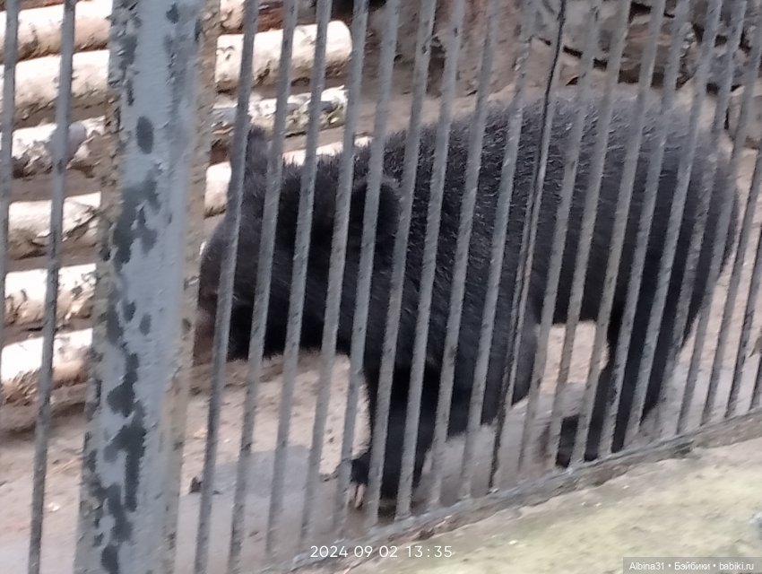 Новосибирский зоопарк — Игровые куклы разных производителей (Разное): редкие бренды