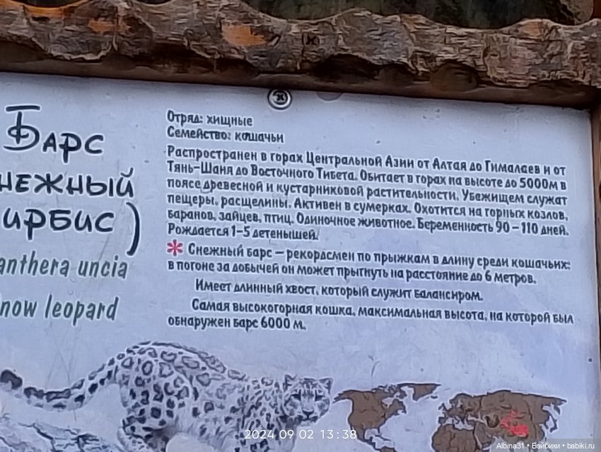 Новосибирский зоопарк — Игровые куклы разных производителей (Разное): редкие бренды