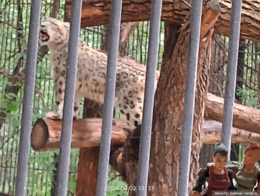 Новосибирский зоопарк — Игровые куклы разных производителей (Разное): редкие бренды