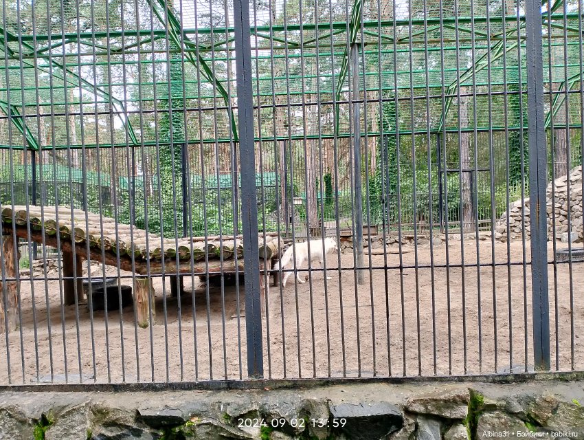 Новосибирский зоопарк — Игровые куклы разных производителей (Разное): редкие бренды