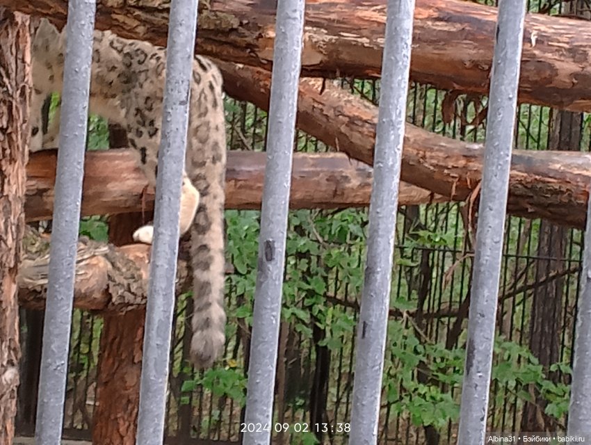 Новосибирский зоопарк — Игровые куклы разных производителей (Разное): редкие бренды