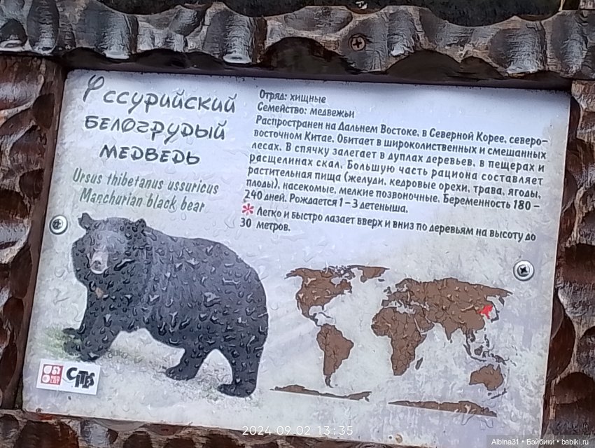 Новосибирский зоопарк — Игровые куклы разных производителей (Разное): редкие бренды