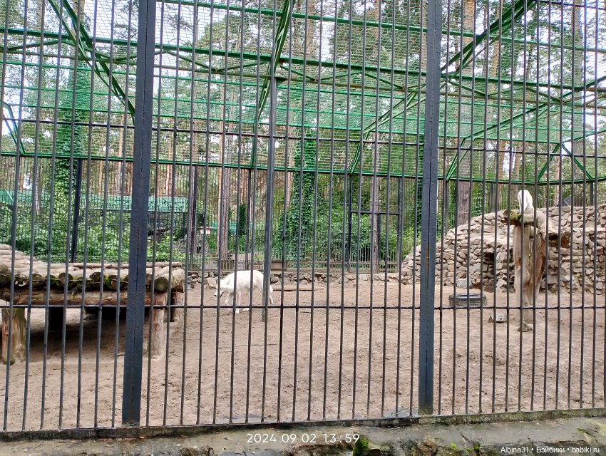 Новосибирский зоопарк — Игровые куклы разных производителей (Разное): редкие бренды