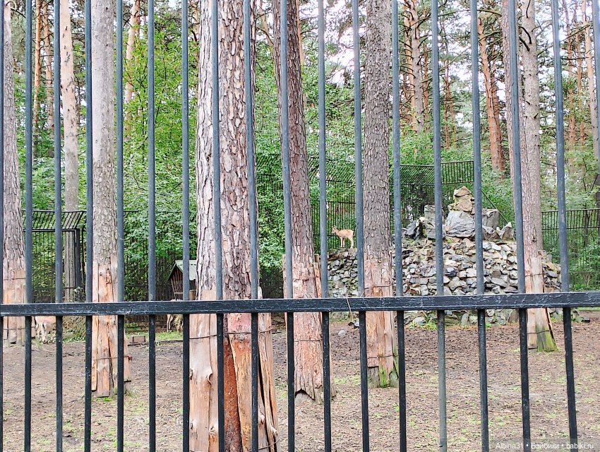 Новосибирский зоопарк — Игровые куклы разных производителей (Разное): редкие бренды