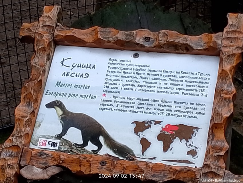 Новосибирский зоопарк — Игровые куклы разных производителей (Разное): редкие бренды