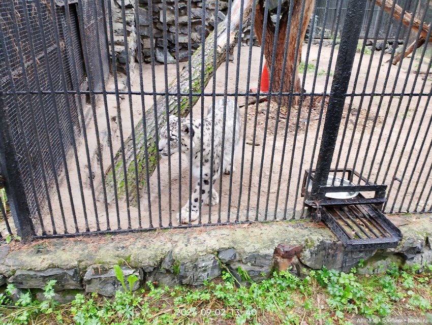 Новосибирский зоопарк — Игровые куклы разных производителей (Разное): редкие бренды