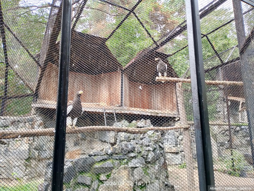 Новосибирский зоопарк — Игровые куклы разных производителей (Разное): редкие бренды