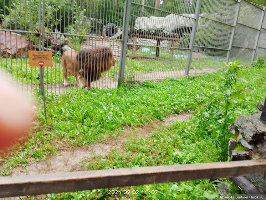 Новосибирский зоопарк — Игровые куклы разных производителей (Разное): редкие бренды