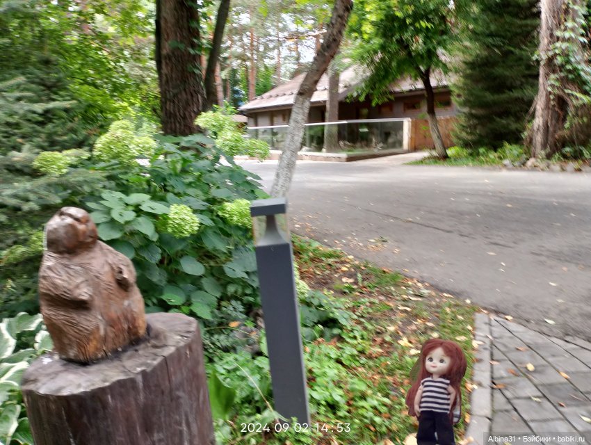 Новосибирский зоопарк — Игровые куклы разных производителей (Разное): редкие бренды