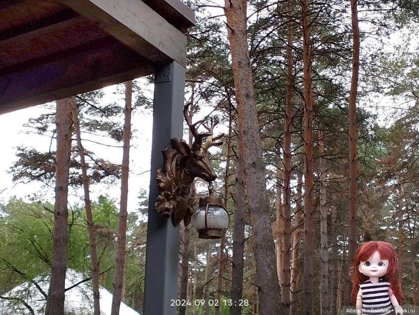 Новосибирский зоопарк — Игровые куклы разных производителей (Разное): редкие бренды (фото 2)