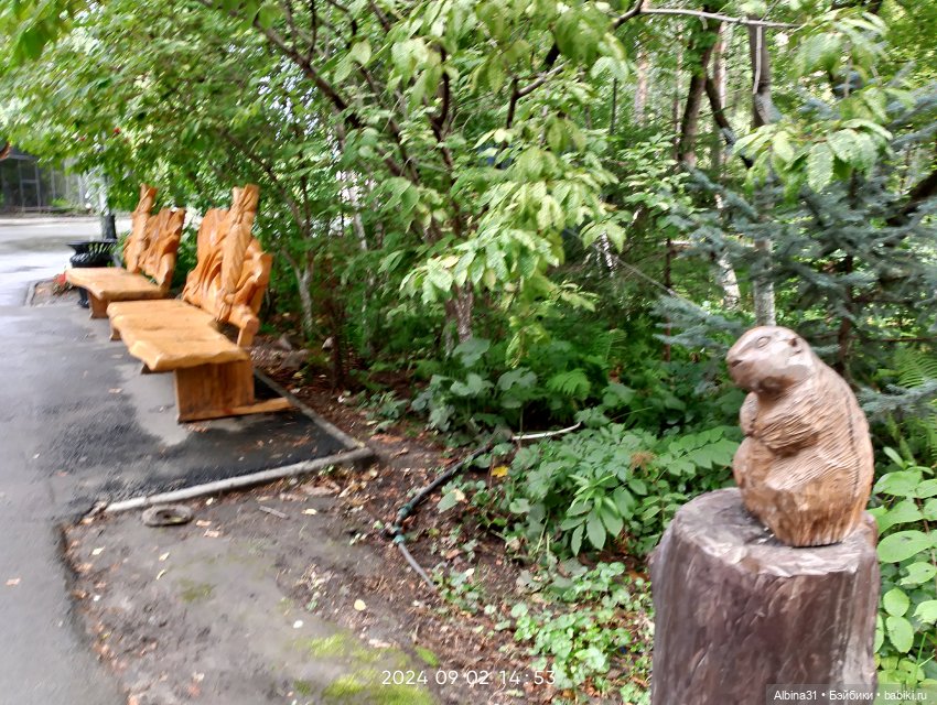 Новосибирский зоопарк — Игровые куклы разных производителей (Разное): редкие бренды