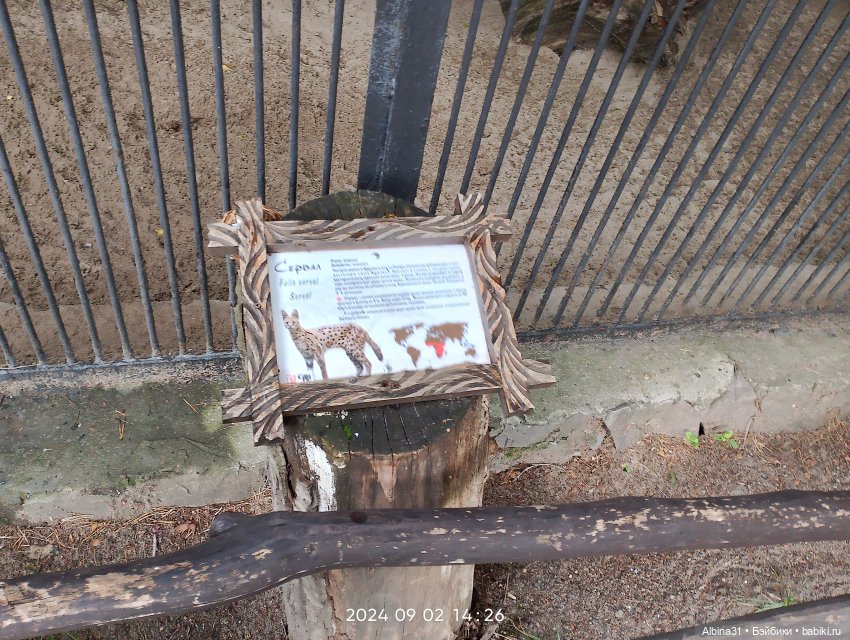 Новосибирский зоопарк — Игровые куклы разных производителей (Разное): редкие бренды