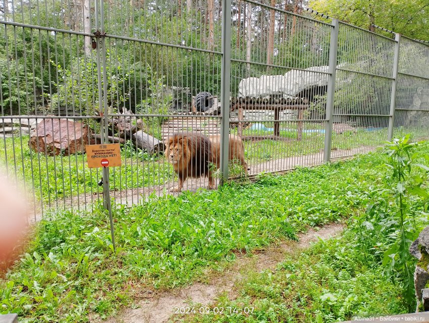 Новосибирский зоопарк — Игровые куклы разных производителей (Разное): редкие бренды