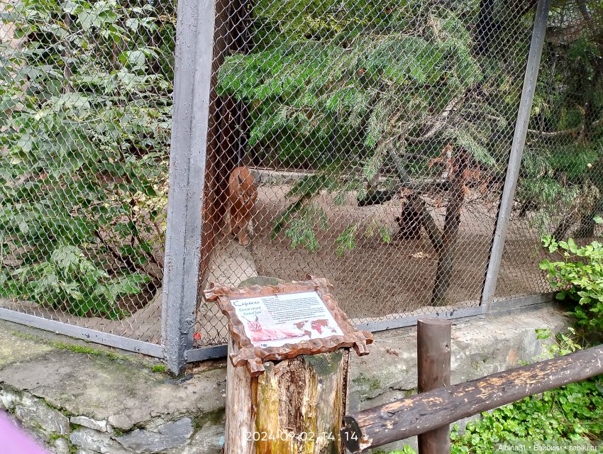 Новосибирский зоопарк — Игровые куклы разных производителей (Разное): редкие бренды