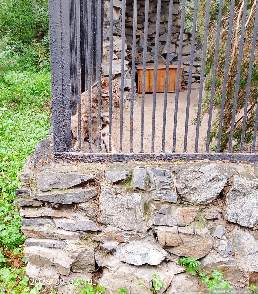 Новосибирский зоопарк — Игровые куклы разных производителей (Разное): редкие бренды