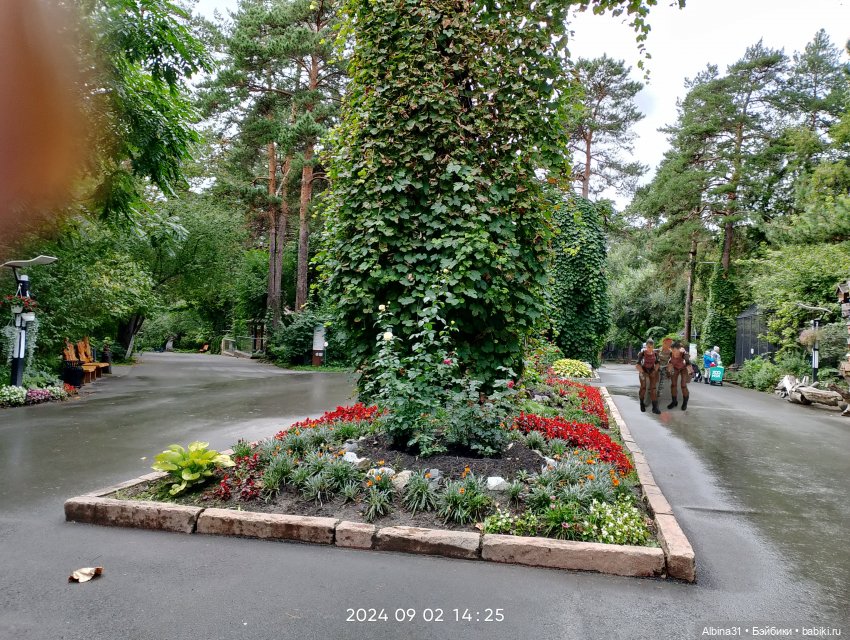 Новосибирский зоопарк — Игровые куклы разных производителей (Разное): редкие бренды