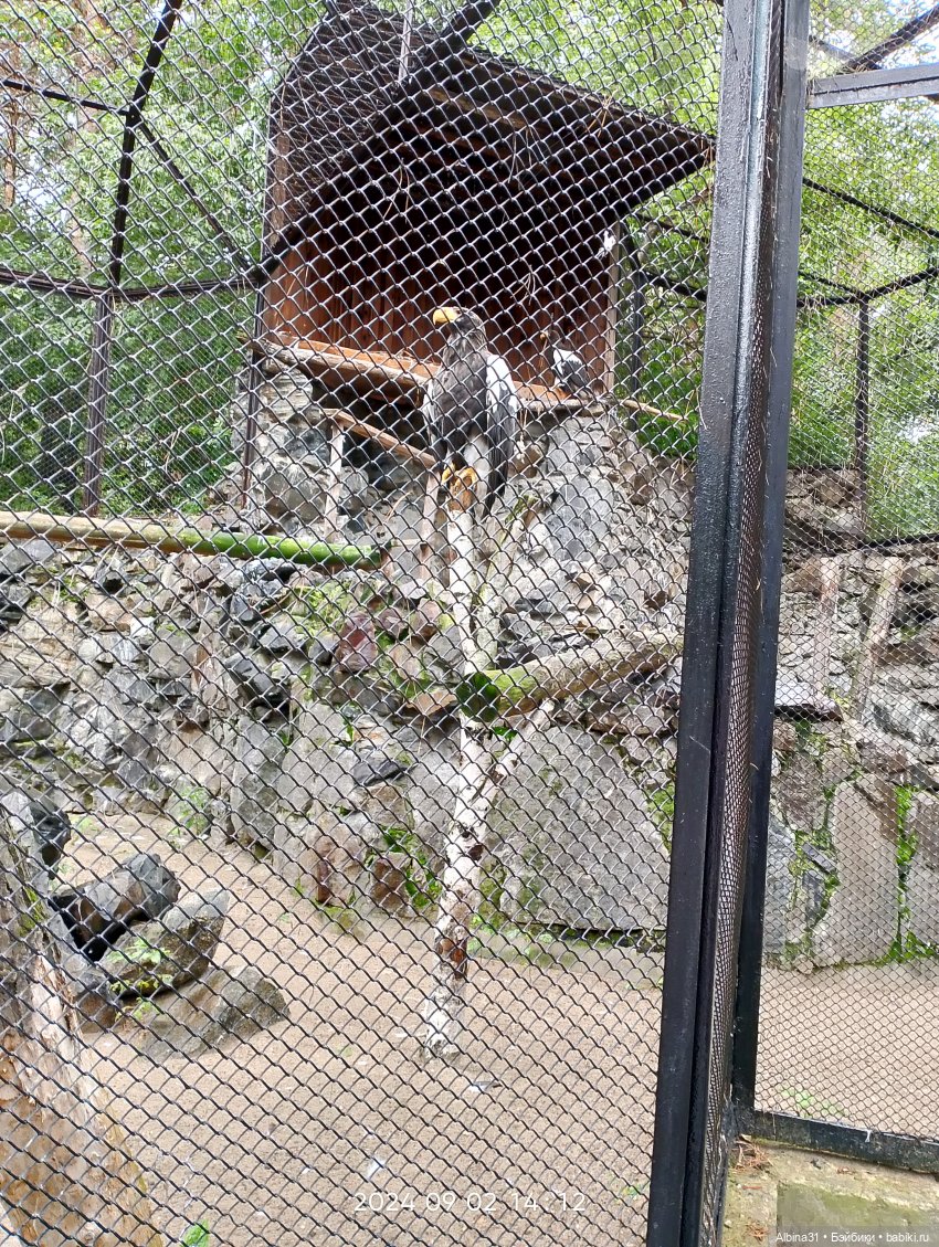 Новосибирский зоопарк — Игровые куклы разных производителей (Разное): редкие бренды