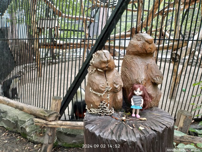 Новосибирский зоопарк — Игровые куклы разных производителей (Разное): редкие бренды