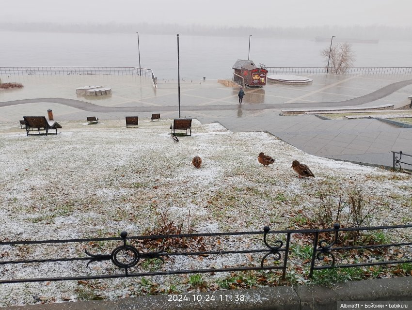 Городские зарисовки... Октябрь 2024