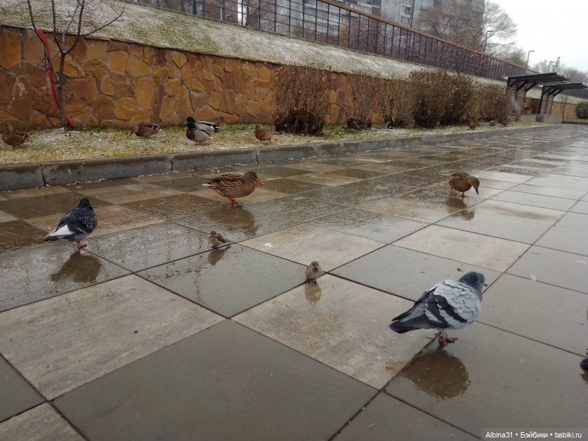 Городские зарисовки... Октябрь 2024