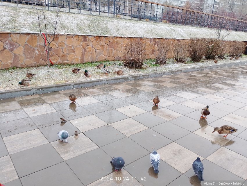 Городские зарисовки... Октябрь 2024