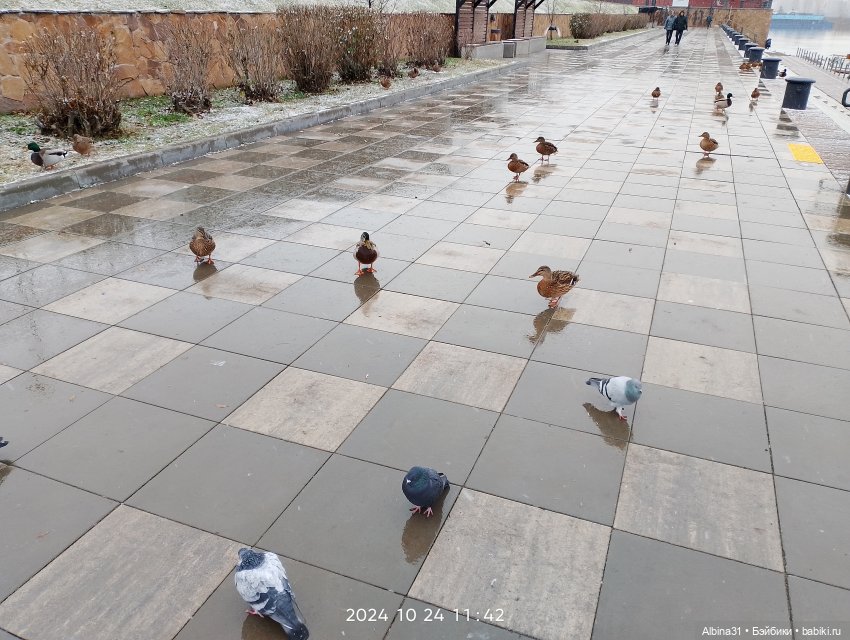 Городские зарисовки... Октябрь 2024