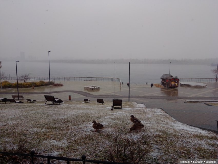 Городские зарисовки... Октябрь 2024