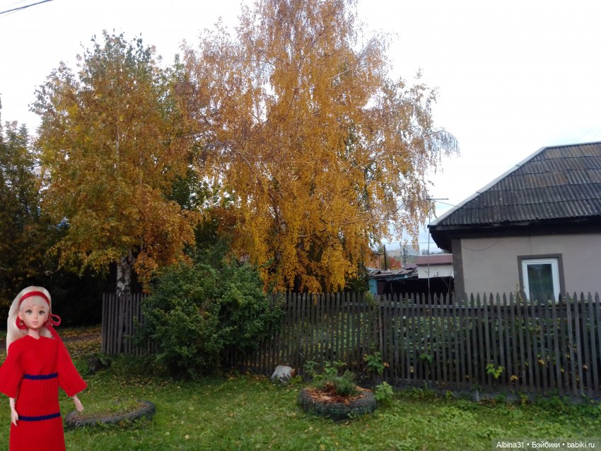 Городские зарисовки... Октябрь 2024 (фото 4)