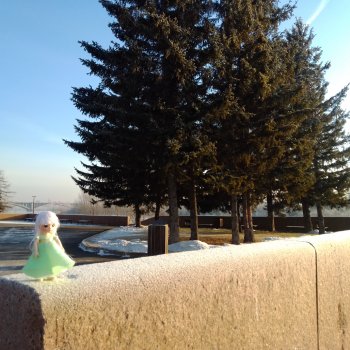 Декабрь... 2024 год