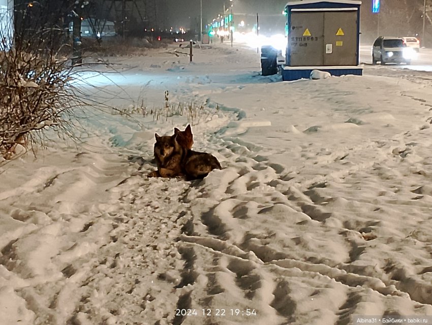 Декабрь... Городские зарисовки 2024 год