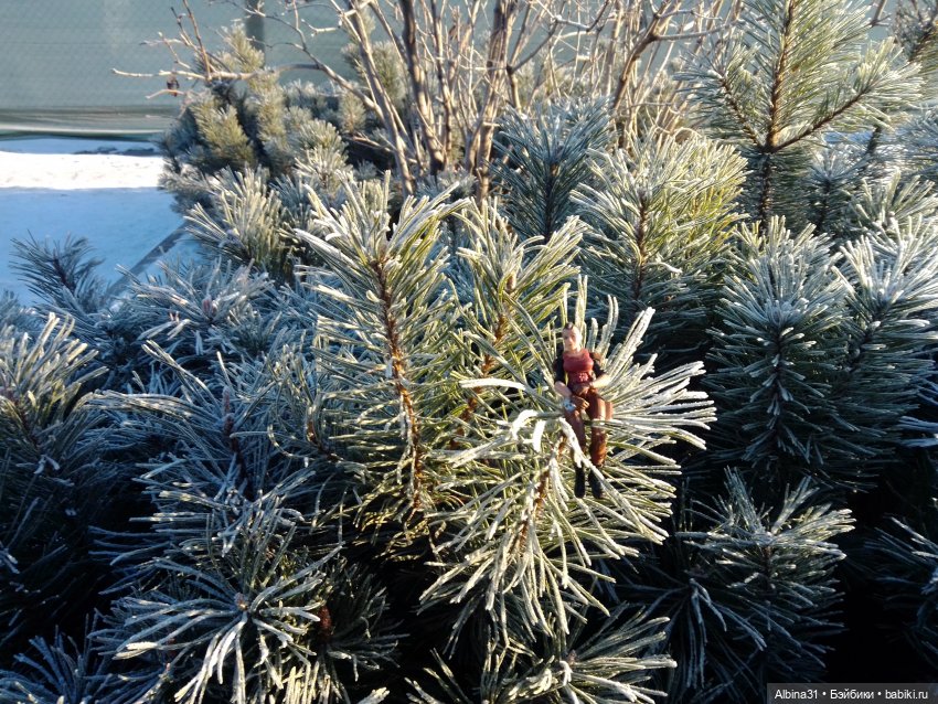 Декабрь... Городские зарисовки 2024 год