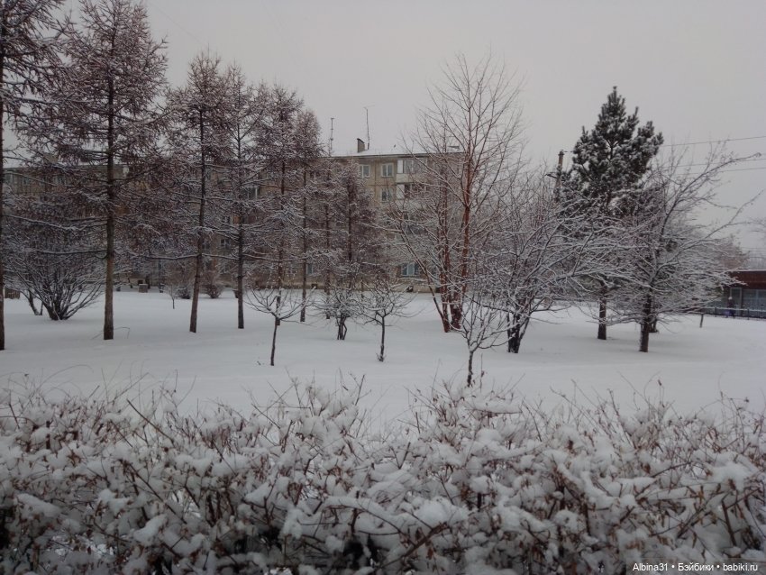 Декабрь... Городские зарисовки 2024 год