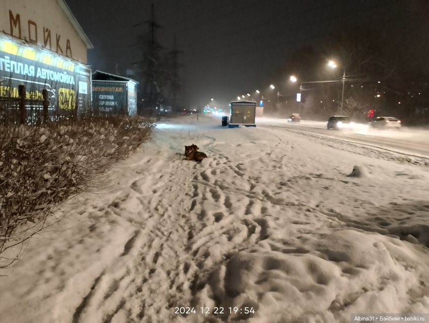 Декабрь... Городские зарисовки 2024 год