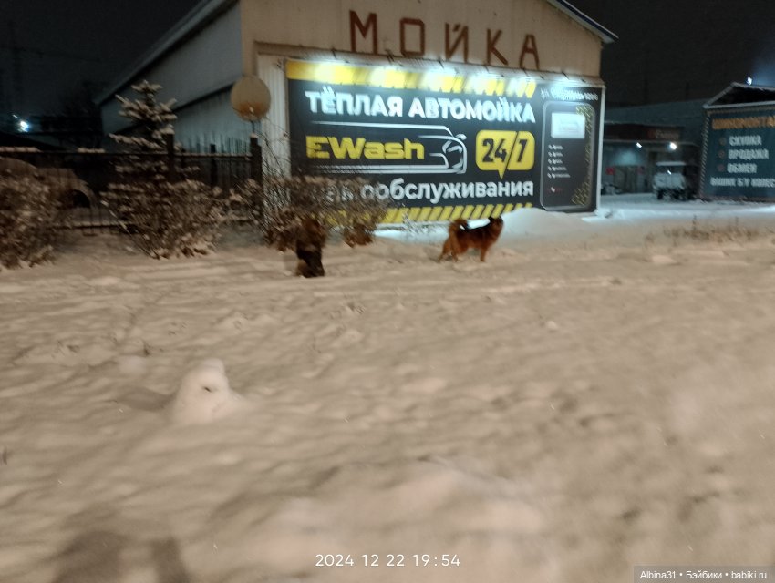 Декабрь... Городские зарисовки 2024 год