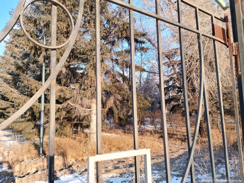 Декабрь... Городские зарисовки 2024 год