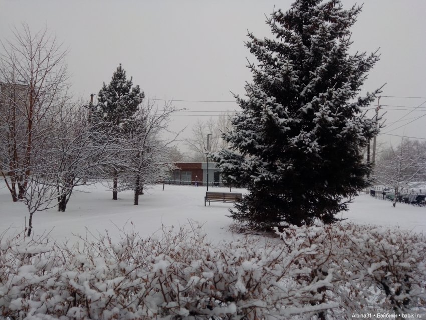 Декабрь... Городские зарисовки 2024 год