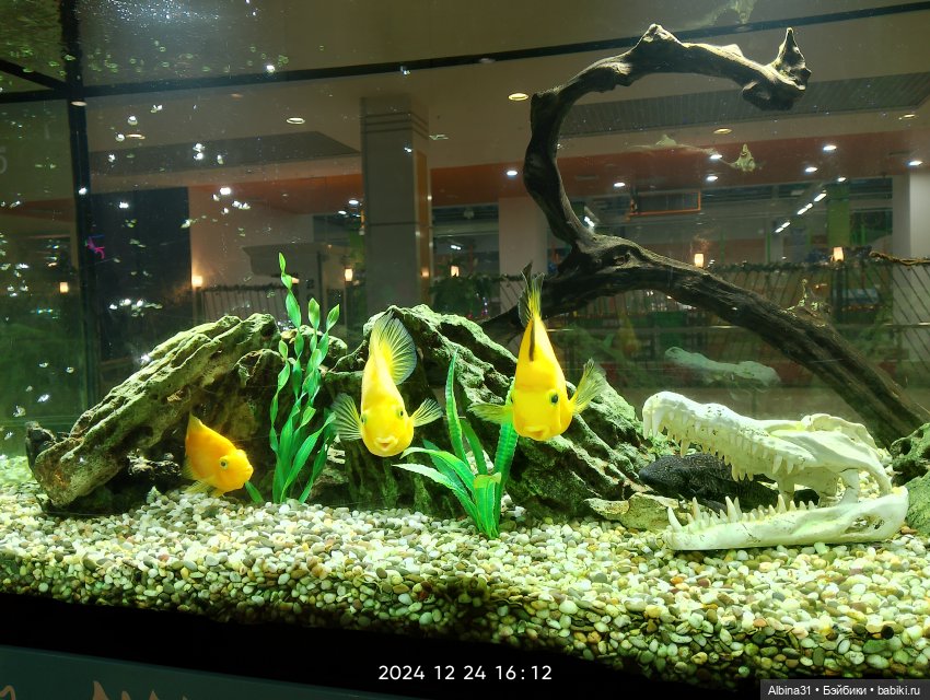 Была зима — Игровые куклы разных производителей (Разное): редкие бренды