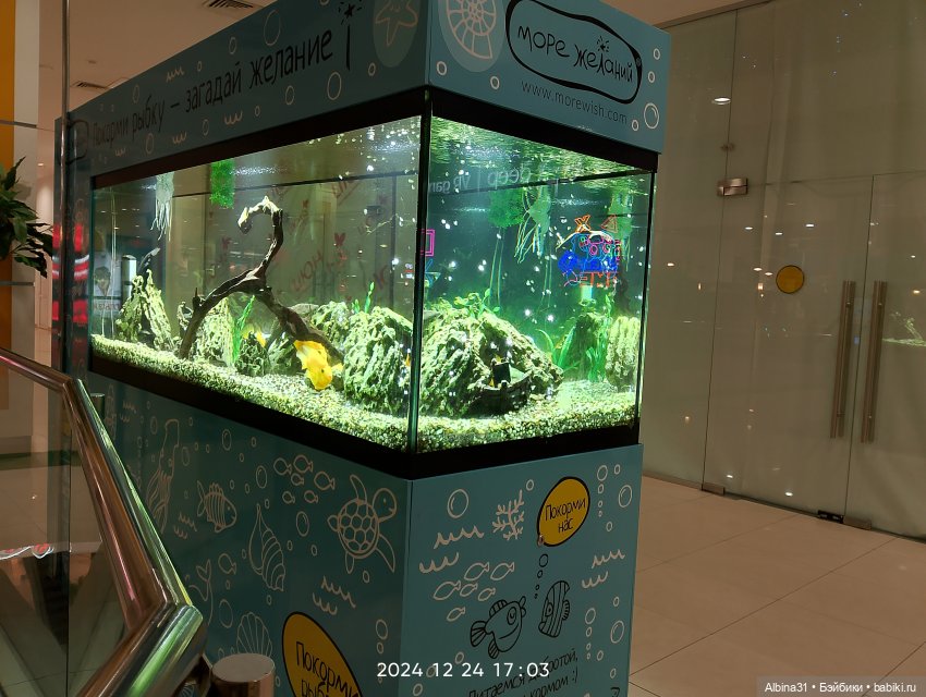 Была зима — Игровые куклы разных производителей (Разное): редкие бренды