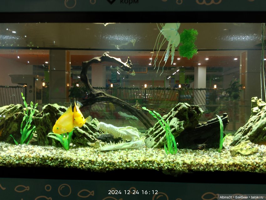 Была зима — Игровые куклы разных производителей (Разное): редкие бренды