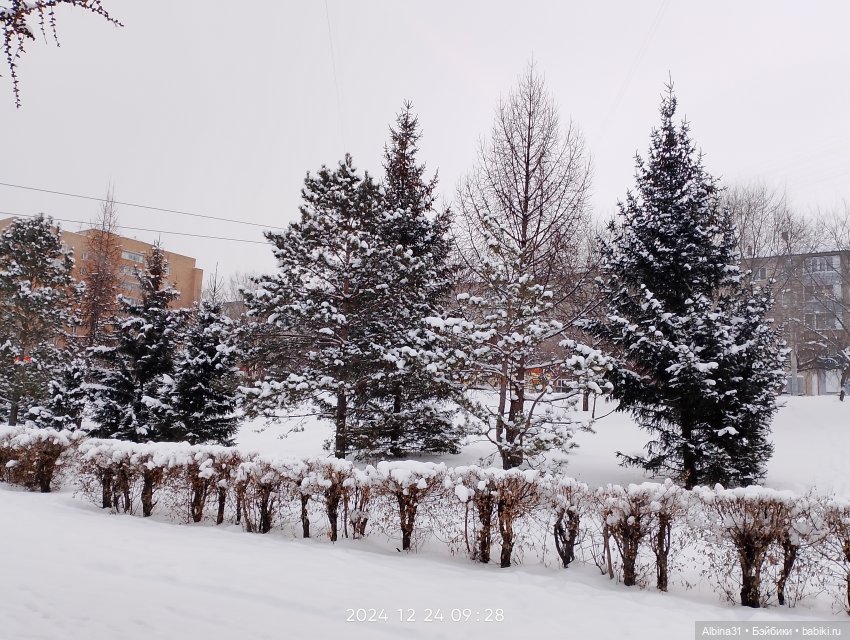 Была зима — Игровые куклы разных производителей (Разное): редкие бренды