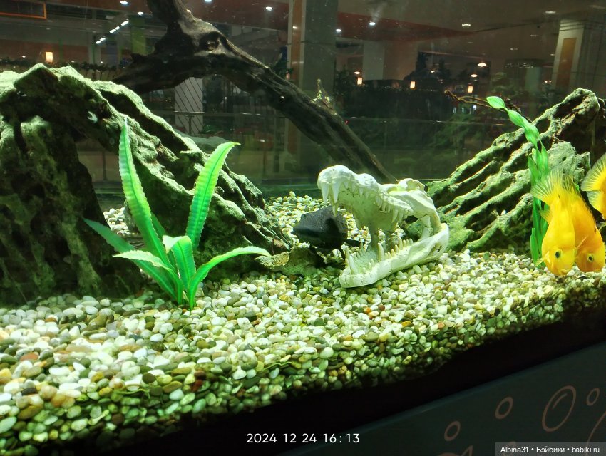 Была зима — Игровые куклы разных производителей (Разное): редкие бренды