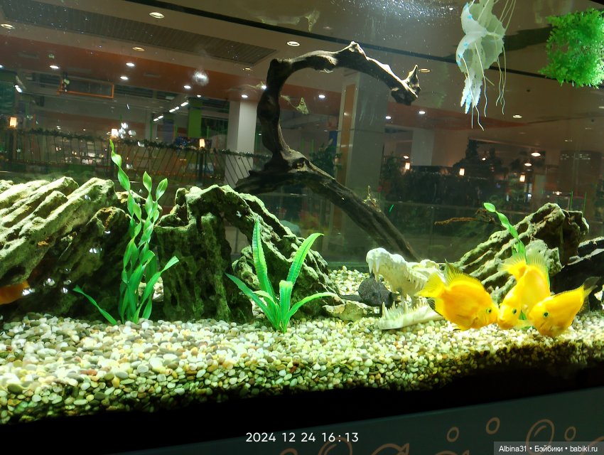 Была зима — Игровые куклы разных производителей (Разное): редкие бренды