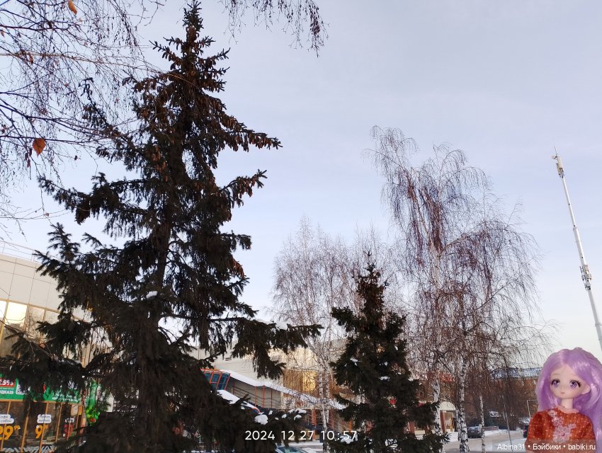 Была зима — Игровые куклы разных производителей (Разное): редкие бренды