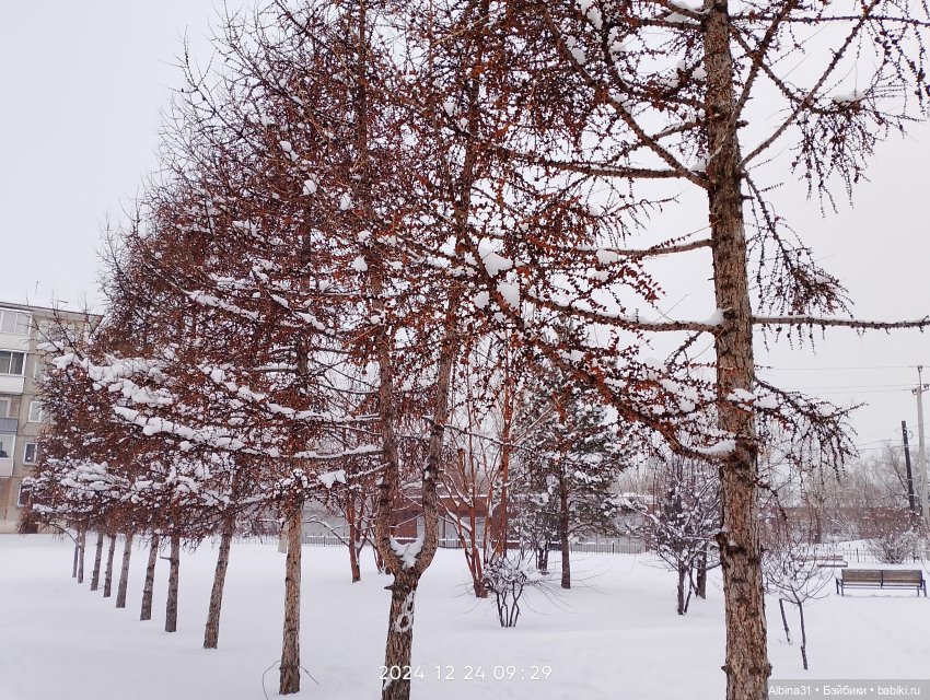 Была зима — Игровые куклы разных производителей (Разное): редкие бренды (фото 3)