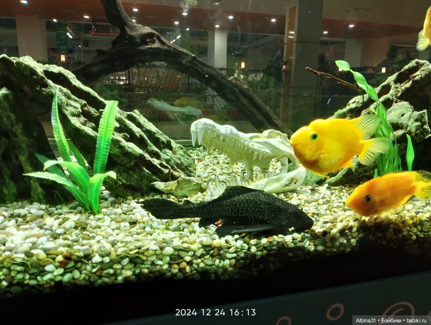 Была зима — Игровые куклы разных производителей (Разное): редкие бренды