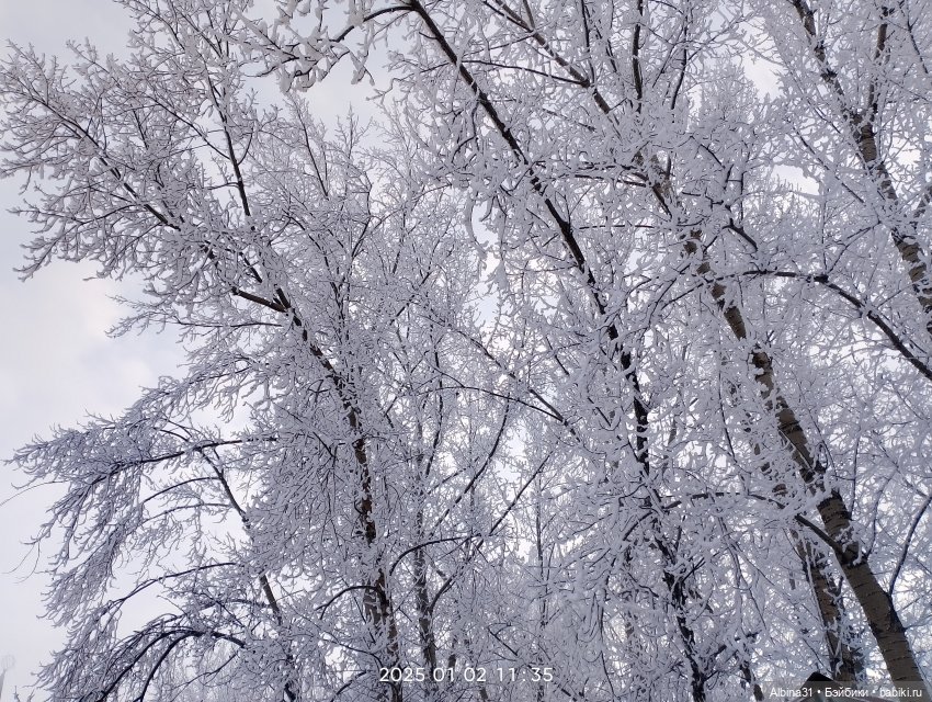 Городская ёлка 2024-25гг — Игровые куклы разных производителей (Разное): редкие бренды (фото 3)
