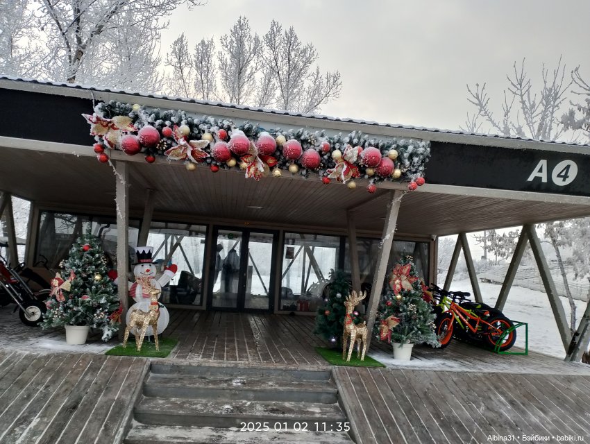 Городская ёлка 2024-25гг — Игровые куклы разных производителей (Разное): редкие бренды (фото 2)